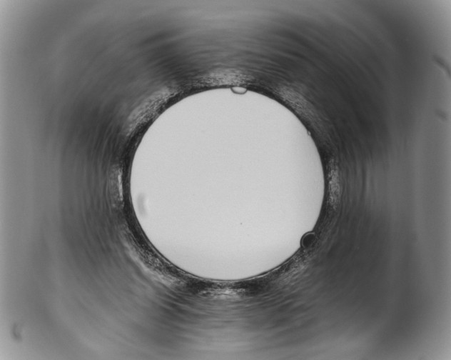 X0000102270254200808221444