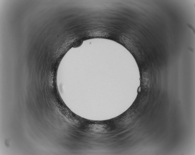 X0000102270255200808221444