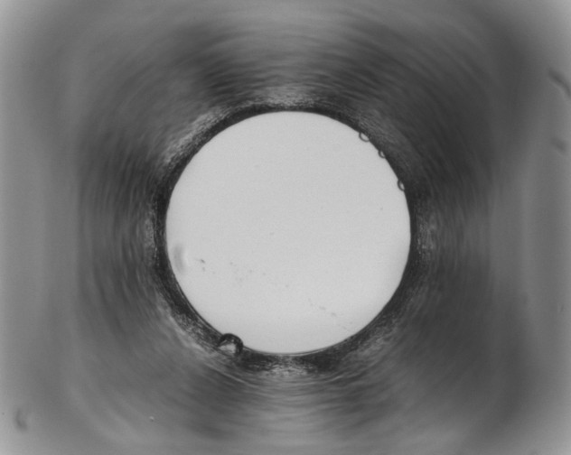 X0000102270256200808221444