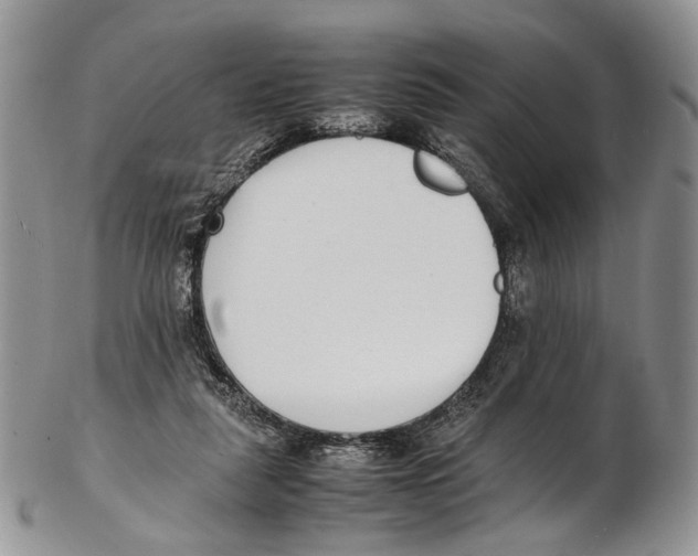 X0000102270259200808221444
