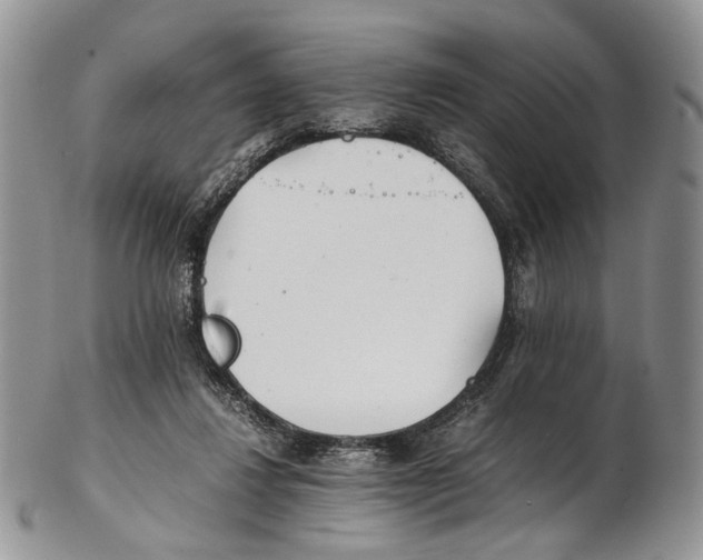 X0000102270260200808221444