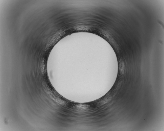 X0000102270261200808221444