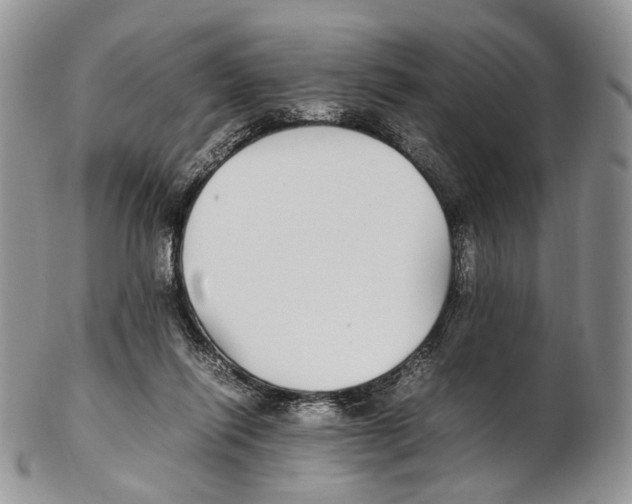 X0000102270262200808221444