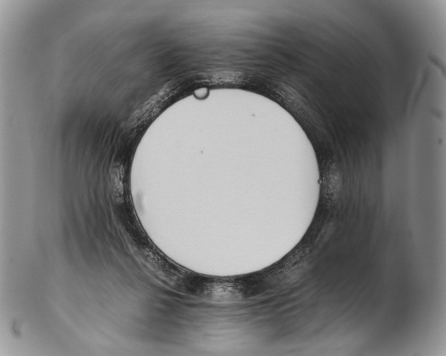 X0000102270264200808221444