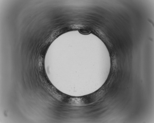 X0000102270265200808221444