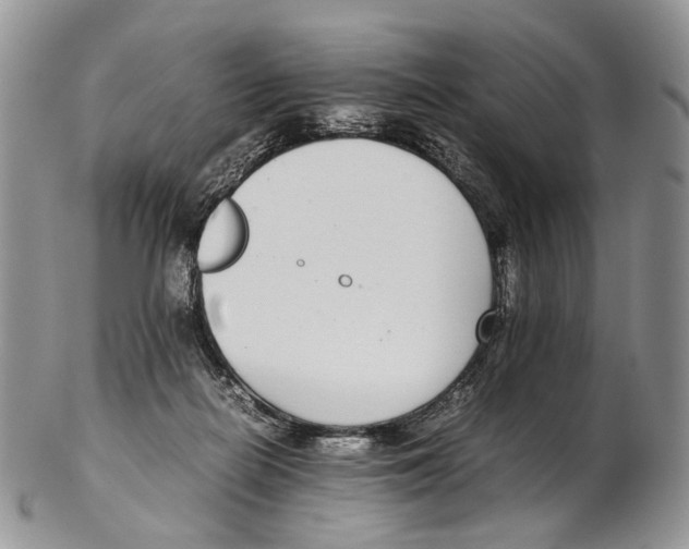 X0000102270266200808221444