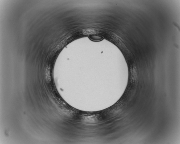 X0000102270267200808221444