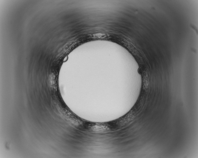 X0000102270270200808221444