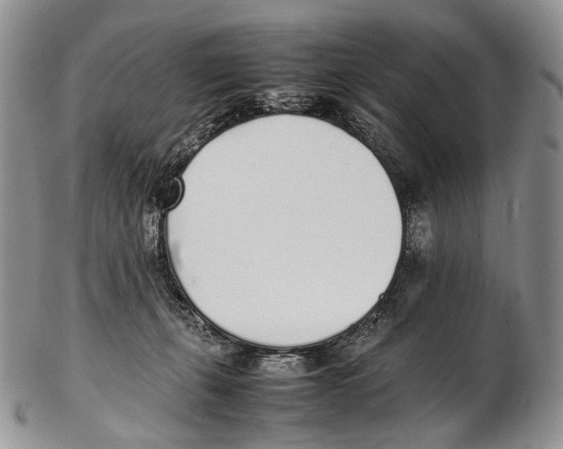 X0000102270271200808221444