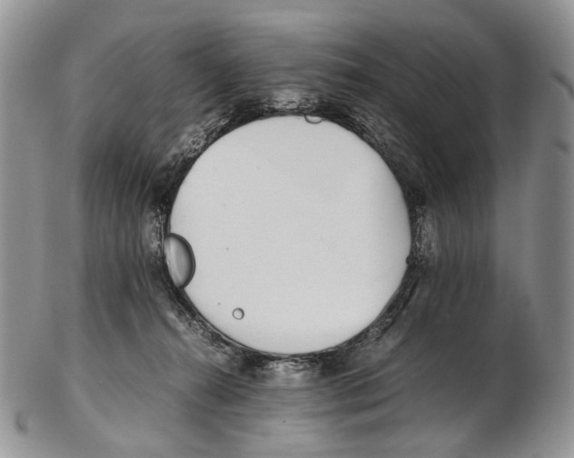 X0000102270272200808221444