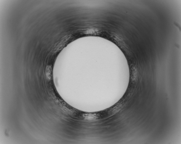 X0000102270273200808221444