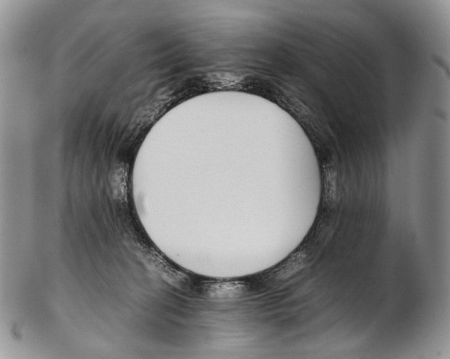 X0000102270274200808221444