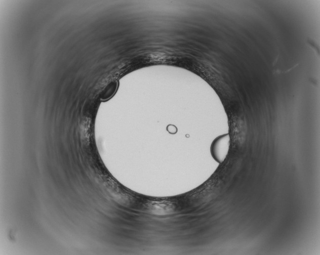 X0000102270275200808221444