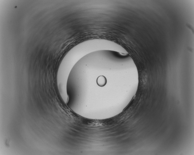 X0000102270276200808221444