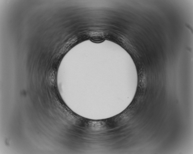 X0000102270277200808221444