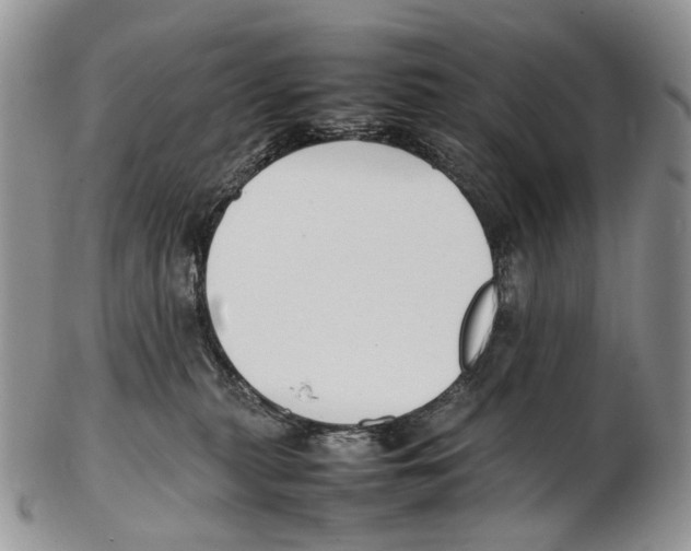 X0000102270279200808221444