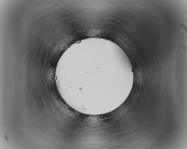 X0000102270280200808221444