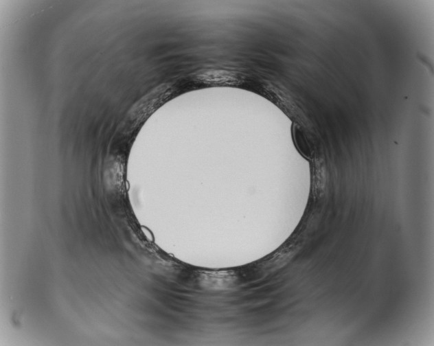 X0000102270281200808221444
