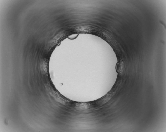 X0000102270282200808221444