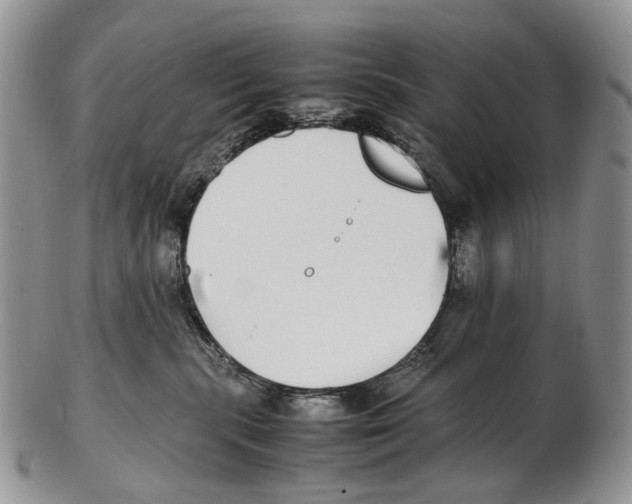 X0000102270283200808221444