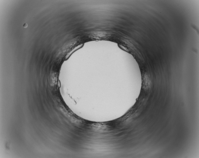 X0000102270284200808221444