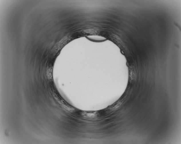 X0000102270285200808221444