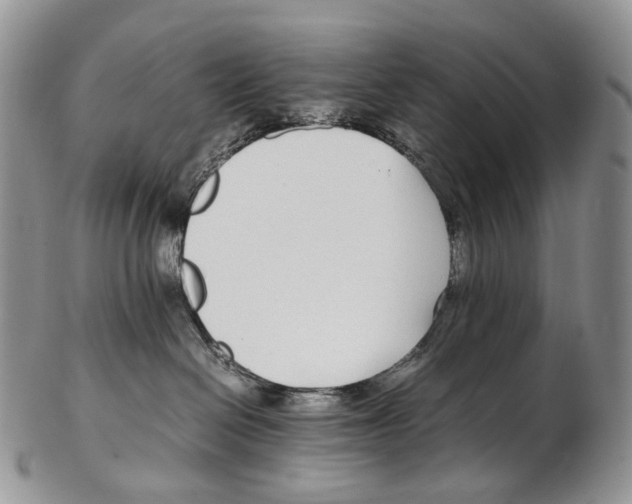 X0000102270286200808221444
