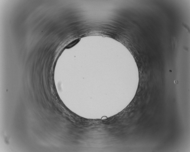 X0000102270289200808221444