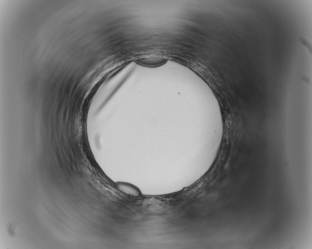 X0000102270290200808221444