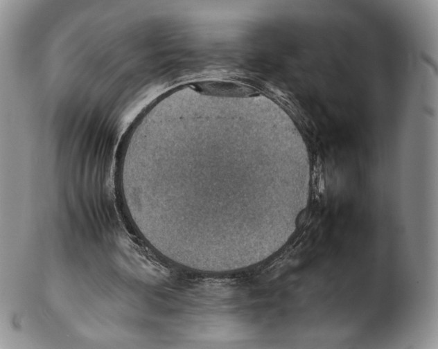 X0000102270292200808221444
