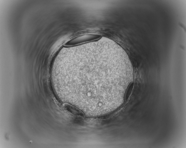 X0000102270293200808221444