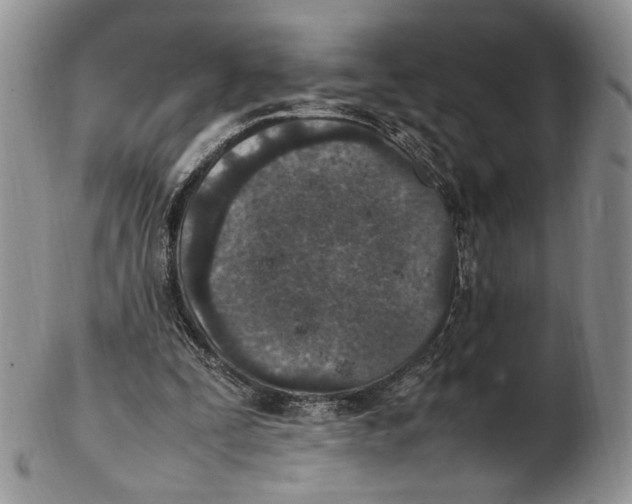 X0000102270295200808221444