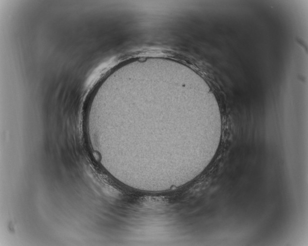 X0000102270296200808221444
