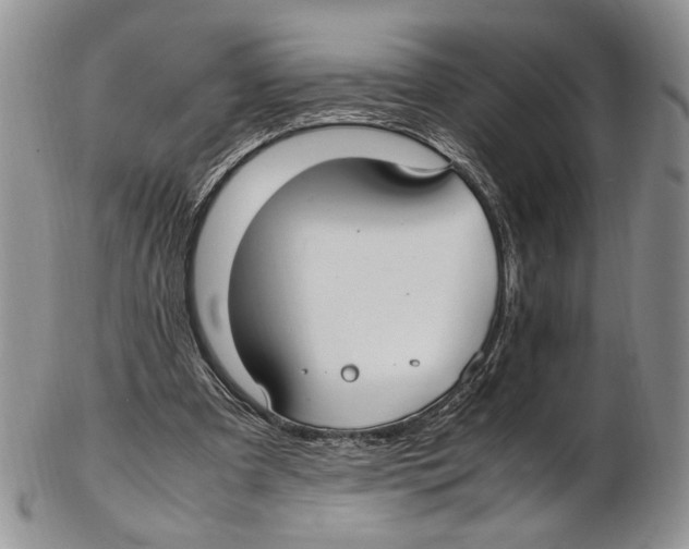 X0000102270297200808221444