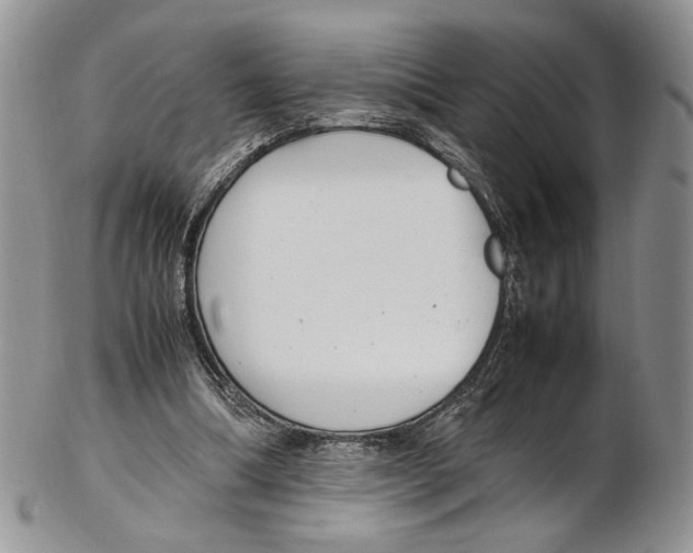 X0000102270298200808221444