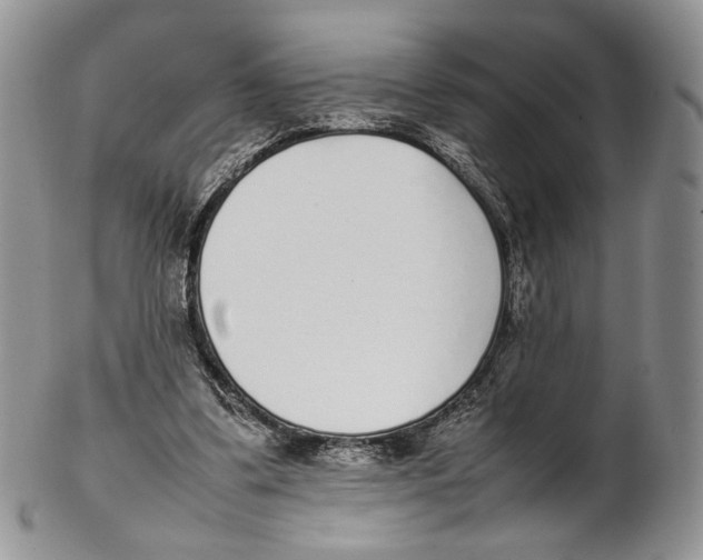 X0000102270299200808221444