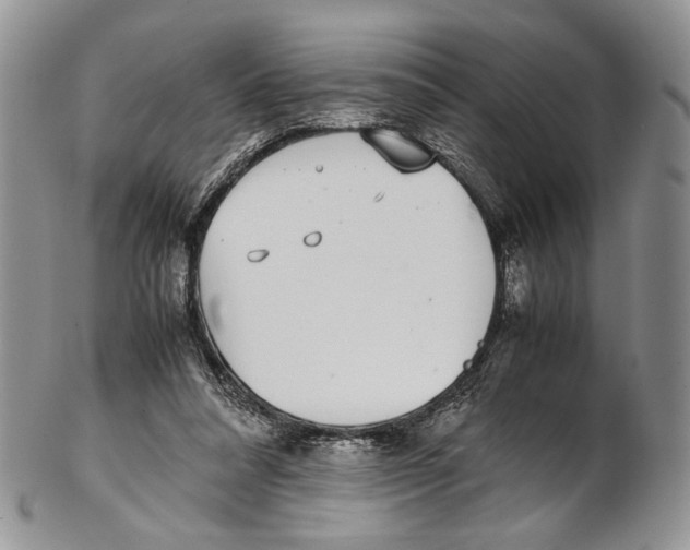 X0000102270304200808221443