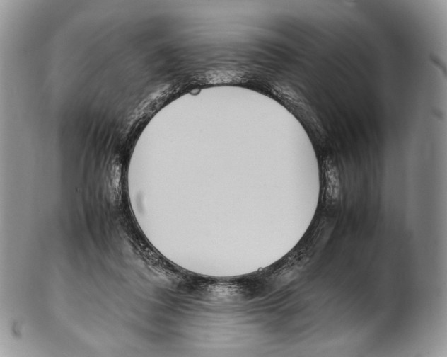 X0000102270308200808221443