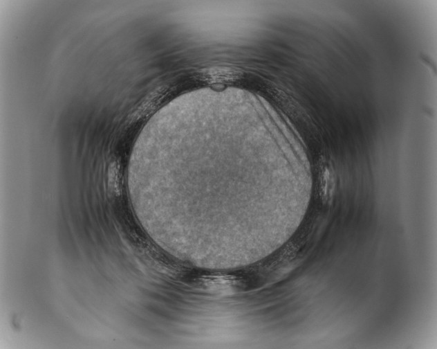 X0000102270316200808221443