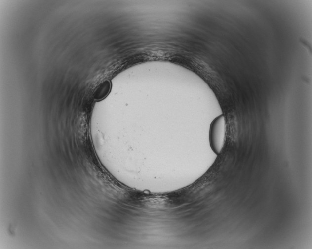 X0000102270318200808221443