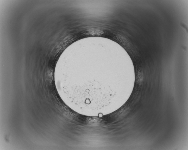 X0000102270321200808221443