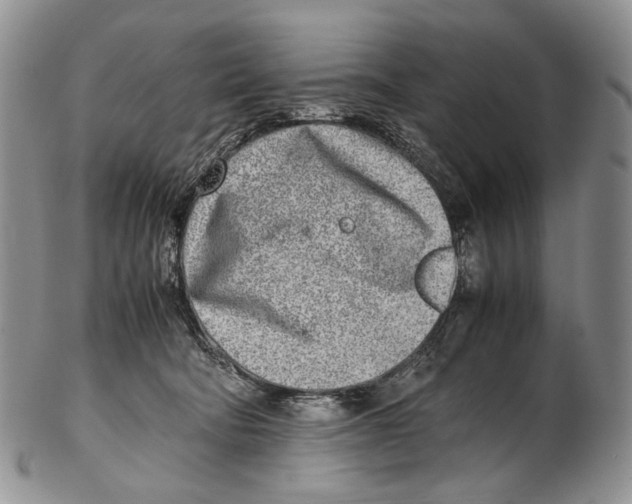 X0000102270322200808221443
