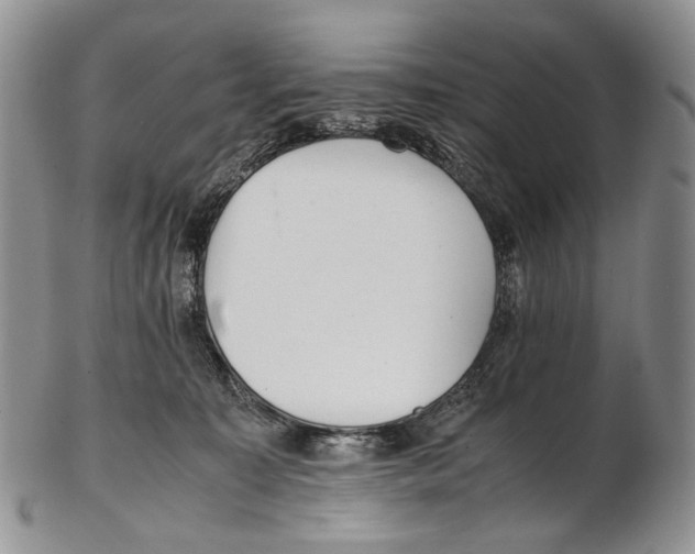 X0000102270323200808221443