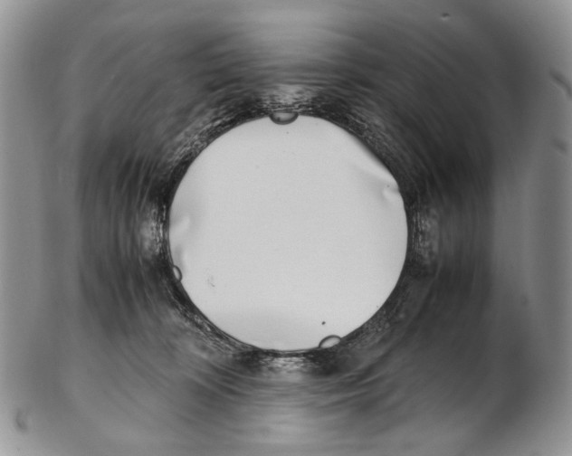 X0000102270324200808221443