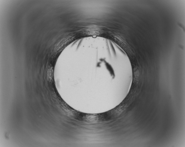 X0000102270325200808221443