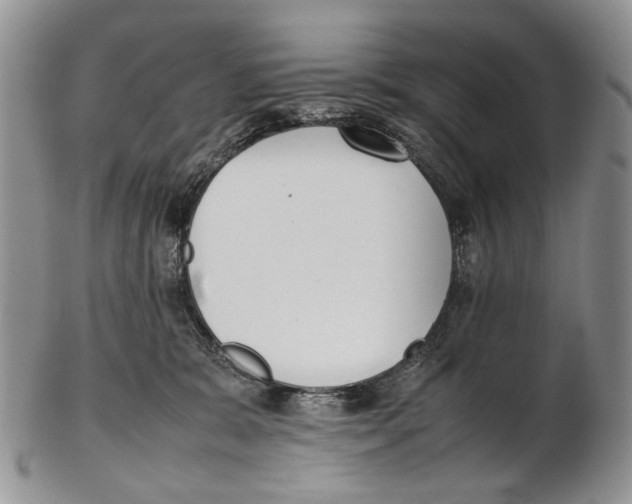 X0000102270327200808221443