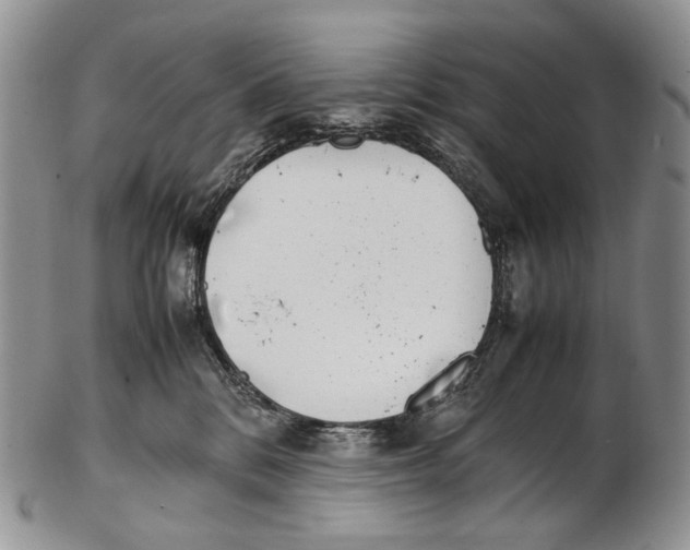 X0000102270328200808221443