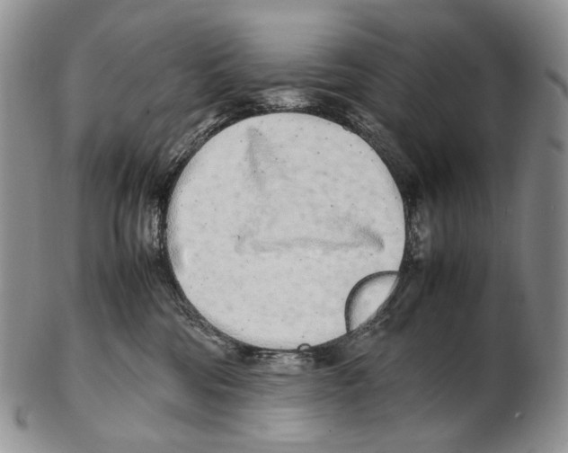 X0000102270330200808221443