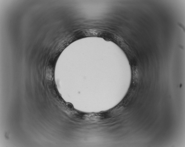 X0000102270331200808221443