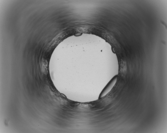 X0000102270332200808221443